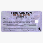 Fern Canyon Back Design A (standard)