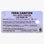 Fern Canyon Back Design B