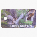 Fern Canyon Front Design A (standard)