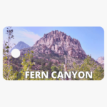 Fern Canyon Front Design B